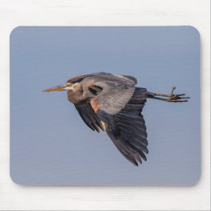 Mousepad Garça-real de grande azul em vôo
