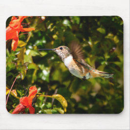 Mousepad Garden Jewel: Hummingbird in Bloom