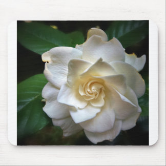 Mousepad Gardenia branco