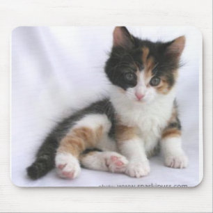 Mousepad gatinho