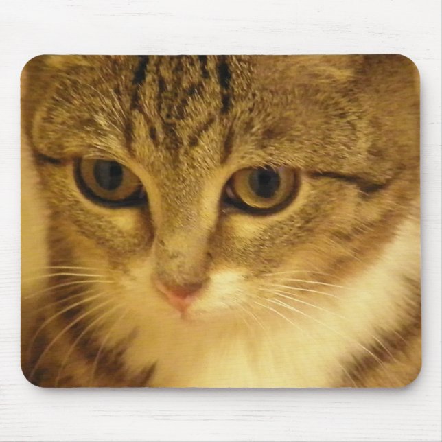 Mousepad gatinho (Frente)