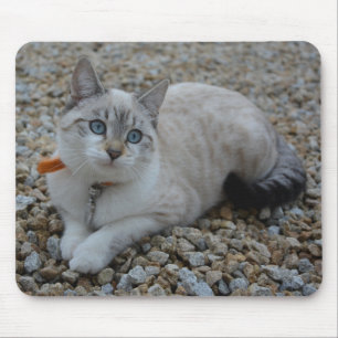 Mousepad Gatinho