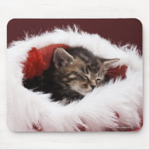 Mousepad Gatinho adormecido no chapéu do Natal