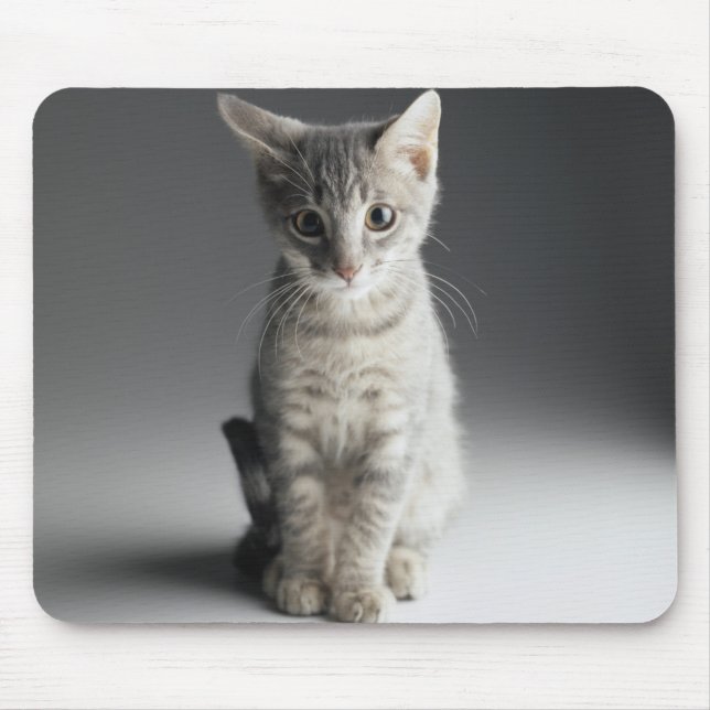 Mousepad Gatinho azul do gato malhado (Frente)