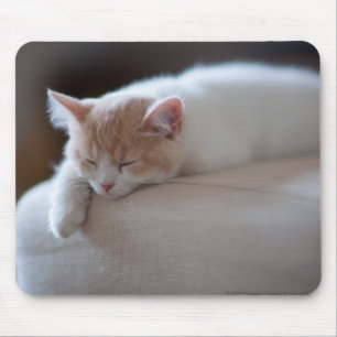 Mousepad Gatinho bege e branco cansado