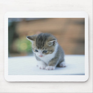 Mousepad Gatinho bonito