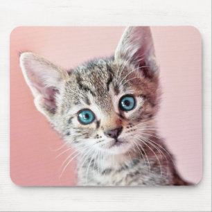 Mousepad Gatinho bonito com olhos azuis