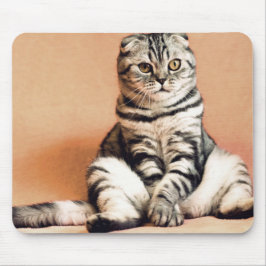 Mousepad Gatinho Bonito Desenterrado