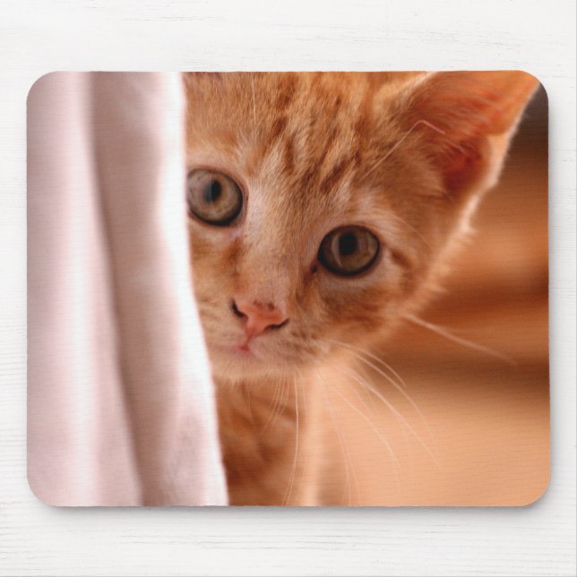 Mousepad Gatinho bonito do caramelo (Frente)