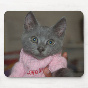 Mousepad Gatinho bonito na camisola