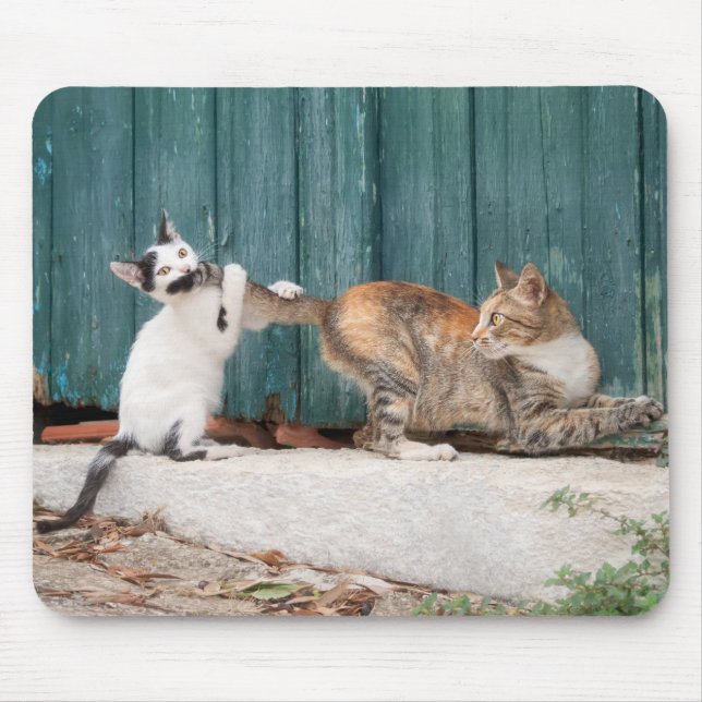 Mousepad Gatinho Bonito Perseguindo Foto De Gato Engraçado  (Frente)
