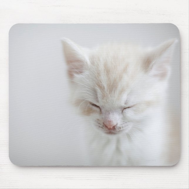 Mousepad Gatinho Branco Dormindo (Frente)