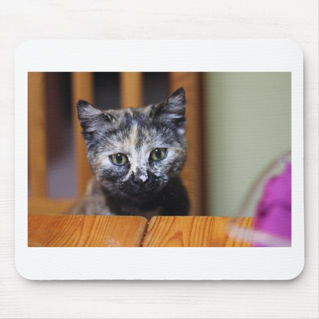 Mousepad Gatinho branco e preto (Frente)