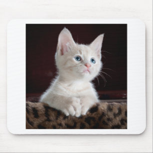 Mousepad Gatinho Branco Super Fofo