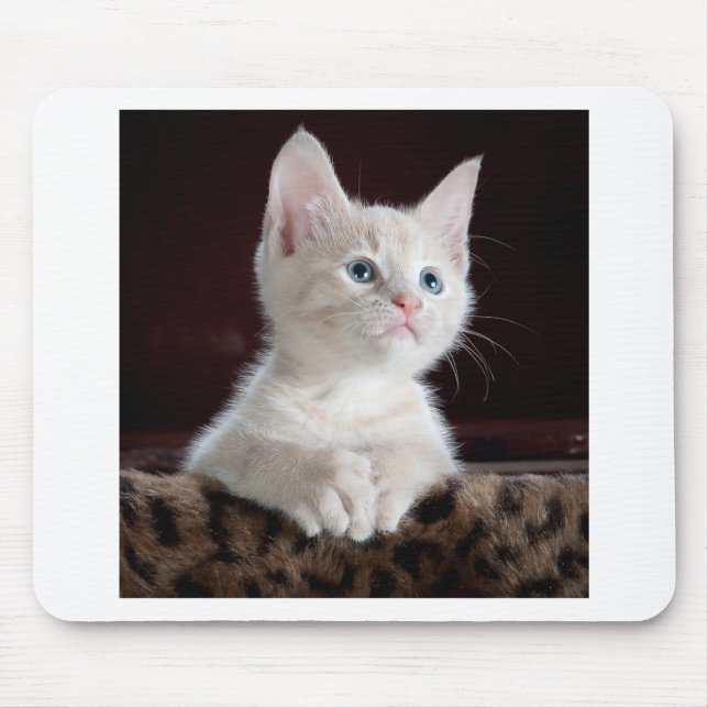 Mousepad Gatinho Branco Super Fofo (Frente)