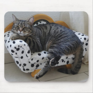Mousepad Gatinho cansado
