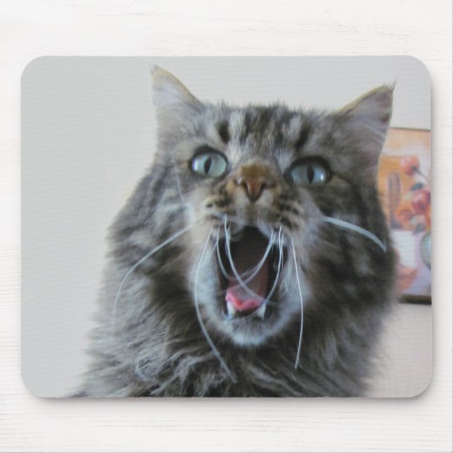 Mousepad Gatinho chocado está chocado (Frente)