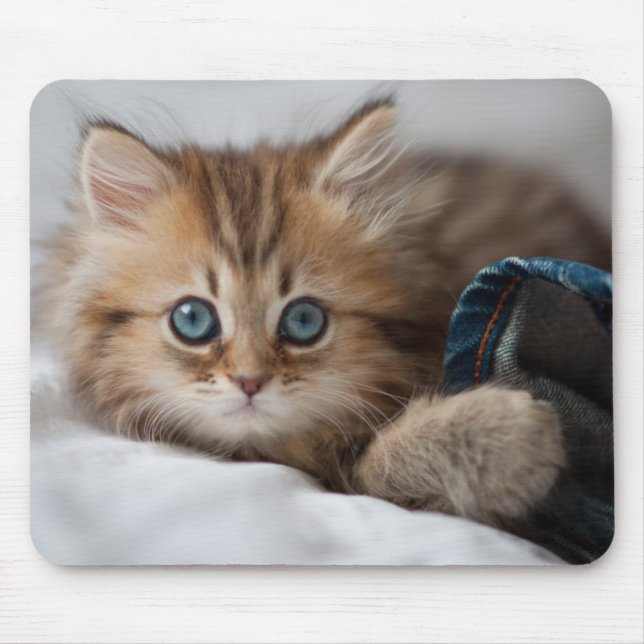 Mousepad Gatinho com olhos azuis (Frente)