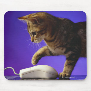 Mousepad Gatinho com rato do computador