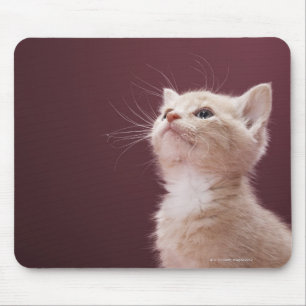 Mousepad Gatinho com suiças