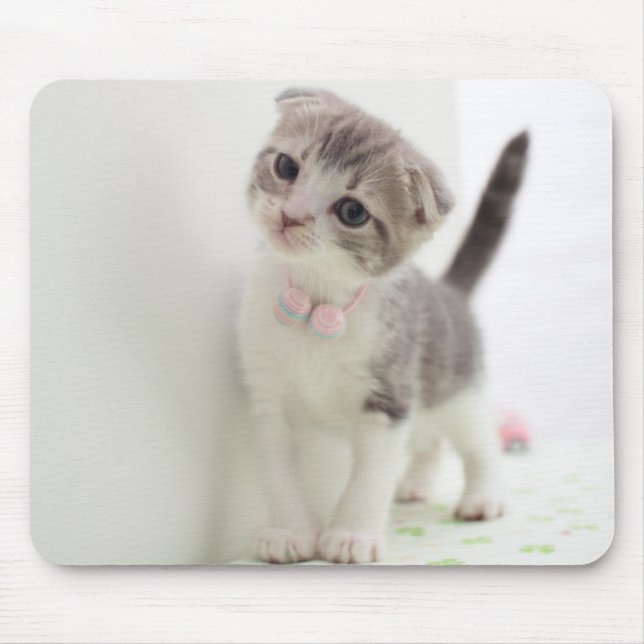 Mousepad Gatinho da dobra do Scottish (Frente)