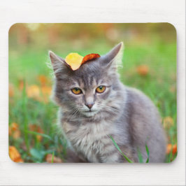 Mousepad Gatinho de Cinza bonita com folha na cabeça