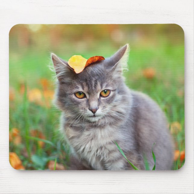 Mousepad Gatinho de Cinza bonita com folha na cabeça (Frente)