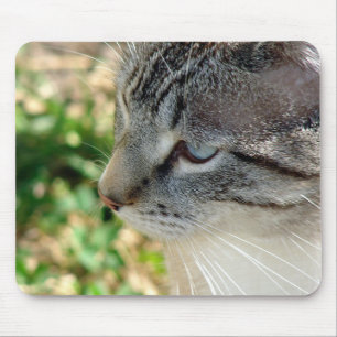 Mousepad Gatinho de Olhos Azuis