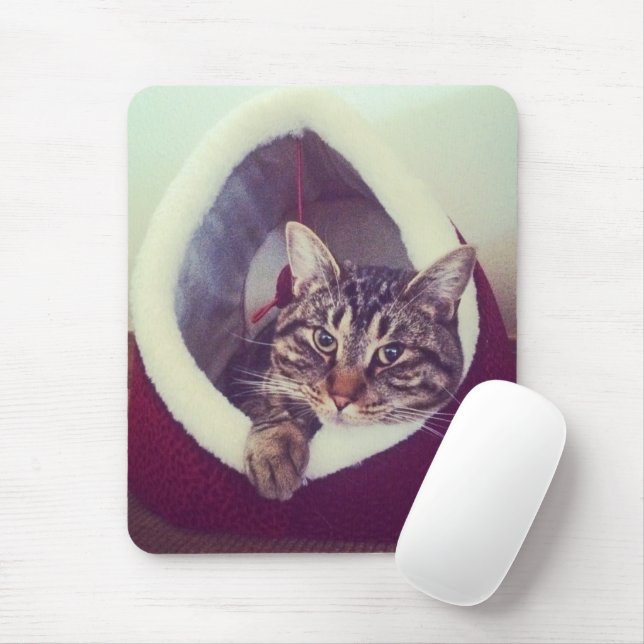 Mousepad Gatinho de Tabby em Hut Foto 70s - Efeito do Filtr (Com mouse)