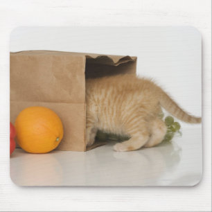 Mousepad Gatinho dentro da bolsa de compra