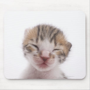 Mousepad Gatinho do sono