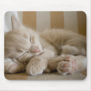Mousepad Gatinho do sono