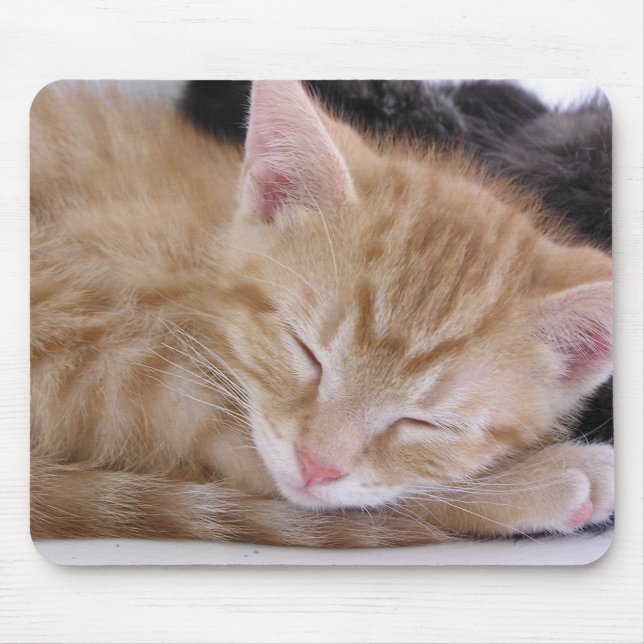 Mousepad Gatinho do sono (Frente)