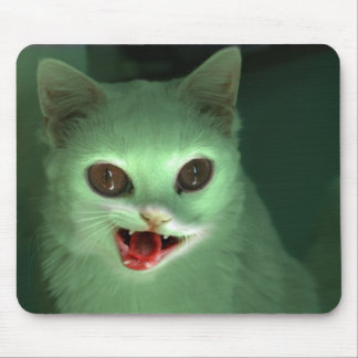 Mousepad Gatinho do zombi