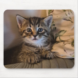 Mousepad Gatinho doce