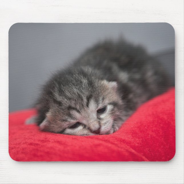 Mousepad Gatinho doce (Frente)