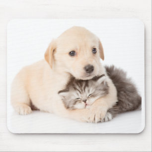 Mousepad gatinho dorme nas mãos do cachorro