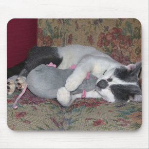 Mousepad Gatinho Dormindo
