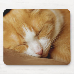 Mousepad Gatinho Dormindo