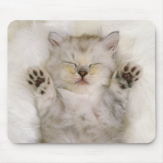 Mousepad Gatinho dormindo em um tapete liso branco, alto (Frente)