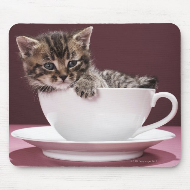 Mousepad Gatinho em xícara e pires (Frente)