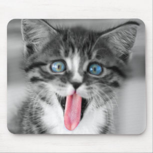 Mousepad Gatinho engraçado