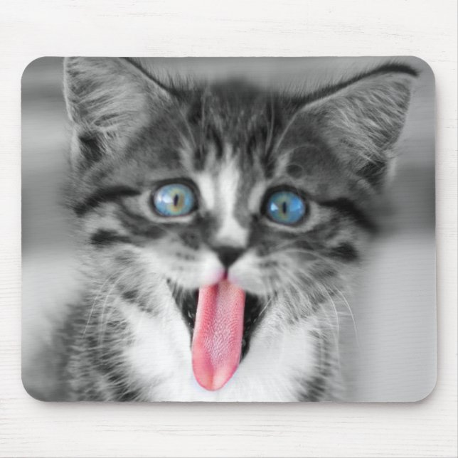 Mousepad Gatinho engraçado (Frente)