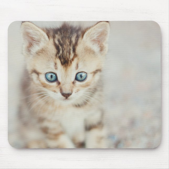 Mousepad Gatinho Eyed azul (Frente)