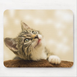 Mousepad Gatinho Fofo com uma Pata Estimulada