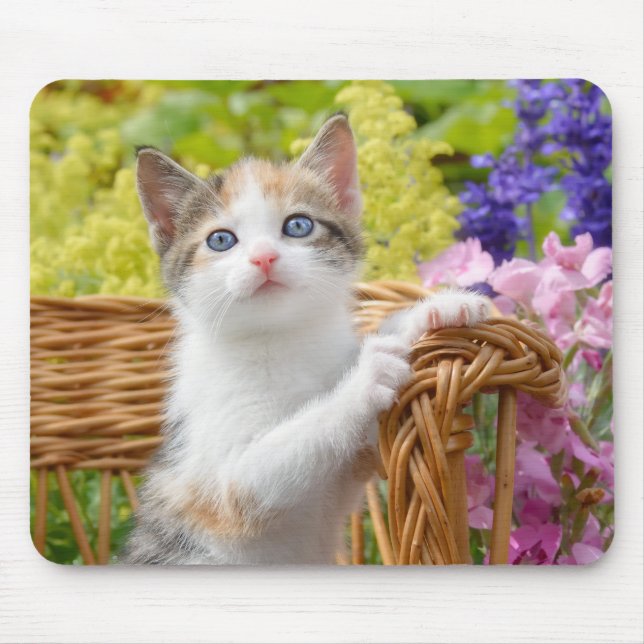 Mousepad Gatinho Gato Nosy Bonito num Jardim Flor (Frente)
