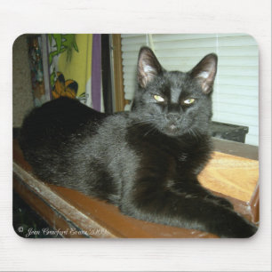 Mousepad Gatinho Imperial