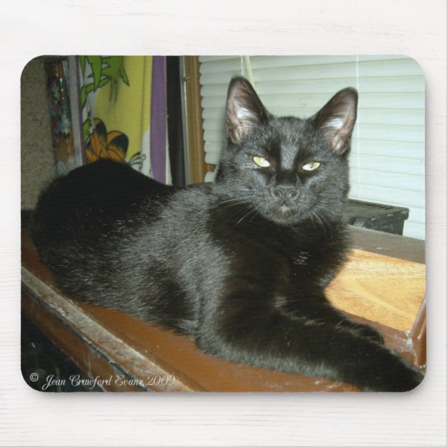 Mousepad Gatinho Imperial (Frente)