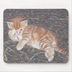 Mousepad Gatinho Laranja Listrado