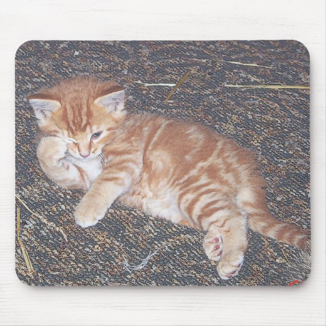 Mousepad Gatinho Laranja Listrado (Frente)